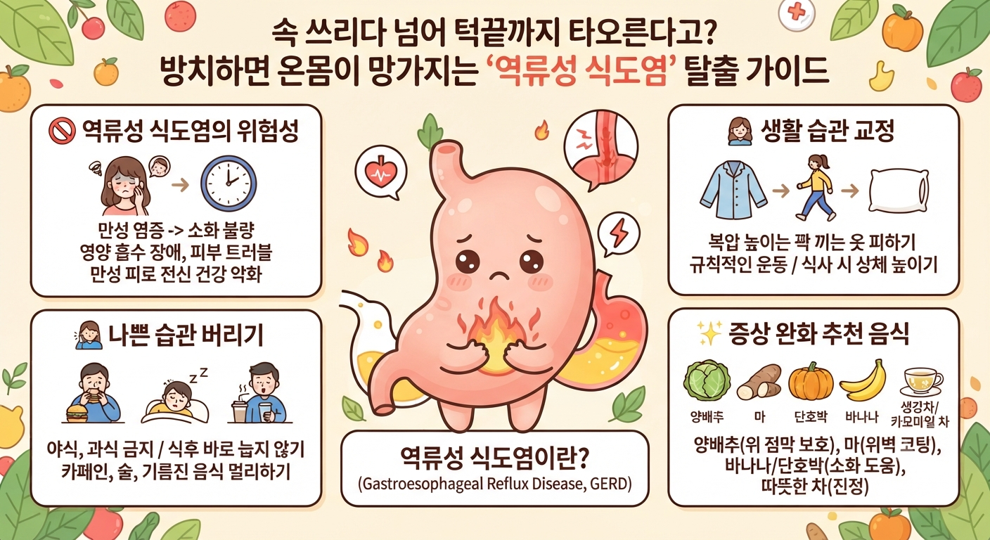 속 쓰리다 넘어 턱끝까지 타오른다고? 방치하면 온몸이 망가지는 ‘역류성 식도염’ 탈출 가이드